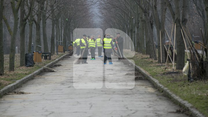 CURĂŢENIE LUNĂ ÎN CAPITALĂ! Zeci de mii de oameni s-au mobilizat şi au participat la acţiunile de salubrizare din oraş (FOTOREPORT)