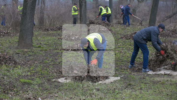 CURĂŢENIE LUNĂ ÎN CAPITALĂ! Zeci de mii de oameni s-au mobilizat şi au participat la acţiunile de salubrizare din oraş (FOTOREPORT)