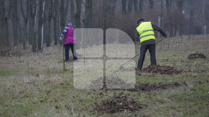 CURĂŢENIE LUNĂ ÎN CAPITALĂ! Zeci de mii de oameni s-au mobilizat şi au participat la acţiunile de salubrizare din oraş (FOTOREPORT)