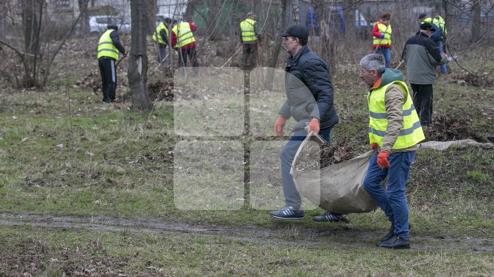 CURĂŢENIE LUNĂ ÎN CAPITALĂ! Zeci de mii de oameni s-au mobilizat şi au participat la acţiunile de salubrizare din oraş (FOTOREPORT)