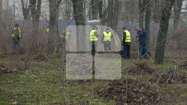 Silvia Radu, despre MAREA CURĂŢENIE: Oamenii au demonstrat că le pasă de oraşul lor