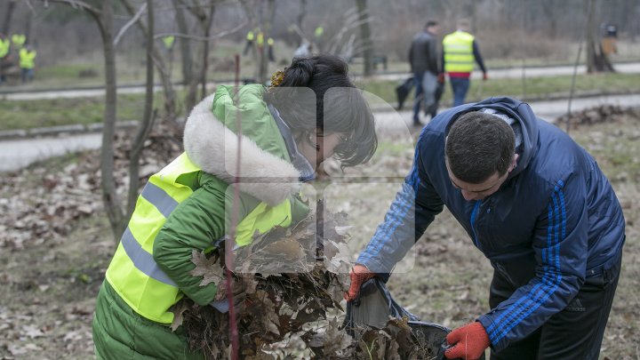 Silvia Radu, despre MAREA CURĂŢENIE: Oamenii au demonstrat că le pasă de oraşul lor