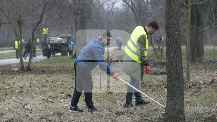 Silvia Radu, despre MAREA CURĂŢENIE: Oamenii au demonstrat că le pasă de oraşul lor