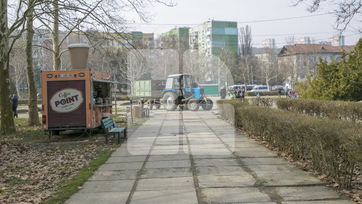 CURĂŢENIE LUNĂ ÎN CAPITALĂ! Zeci de mii de oameni s-au mobilizat şi au participat la acţiunile de salubrizare din oraş (FOTOREPORT)