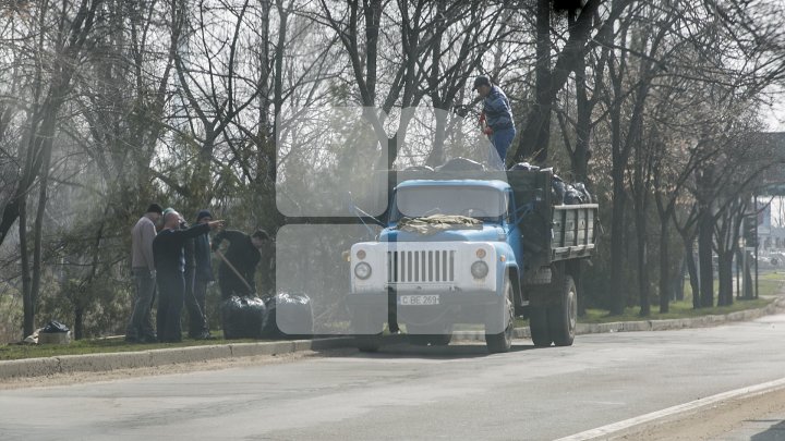 CURĂŢENIE LUNĂ ÎN CAPITALĂ! Zeci de mii de oameni s-au mobilizat şi au participat la acţiunile de salubrizare din oraş (FOTOREPORT)