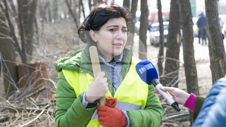 CURĂŢENIE LUNĂ ÎN CAPITALĂ! Zeci de mii de oameni s-au mobilizat şi au participat la acţiunile de salubrizare din oraş (FOTOREPORT)