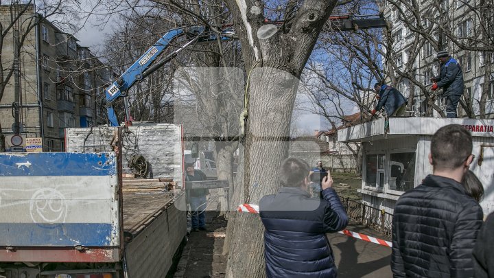 Silvia Radu face curățenie în oraș. Gheretele amplasate ilegal în Capitală au fost evacuate (FOTOREPORT)