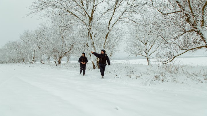 Nici o zi fără încălcări! Situația la frontieră în ultimele 24 de ore