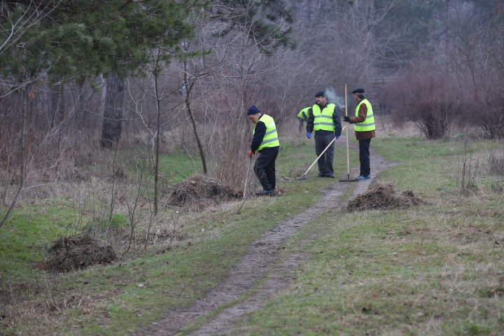 Mobilizare pentru salubrizare! Capitala s-a schimbat la faţă după marea curăţenie (FOTO)