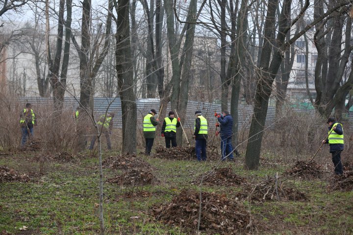 Marea Curățenie de primăvară din Capitală. Angajații Spații Verzi și locuitorii fac curat în toate parcurile și străzile