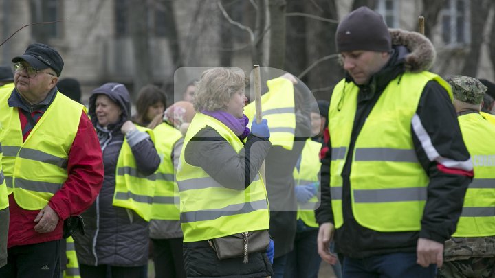 Marea Curățenie de primăvară din Capitală. Angajații Spații Verzi și locuitorii fac curat în toate parcurile și străzile