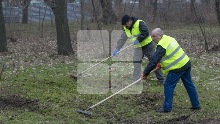 CURĂŢENIE LUNĂ ÎN CAPITALĂ! Zeci de mii de oameni s-au mobilizat şi au participat la acţiunile de salubrizare din oraş (FOTOREPORT)