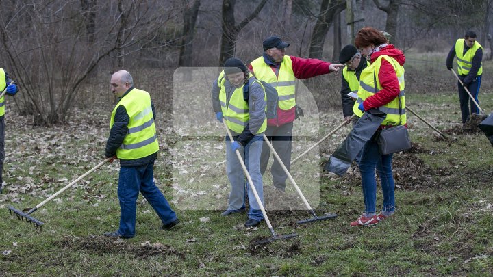 CURĂŢENIE LUNĂ ÎN CAPITALĂ! Zeci de mii de oameni s-au mobilizat şi au participat la acţiunile de salubrizare din oraş (FOTOREPORT)