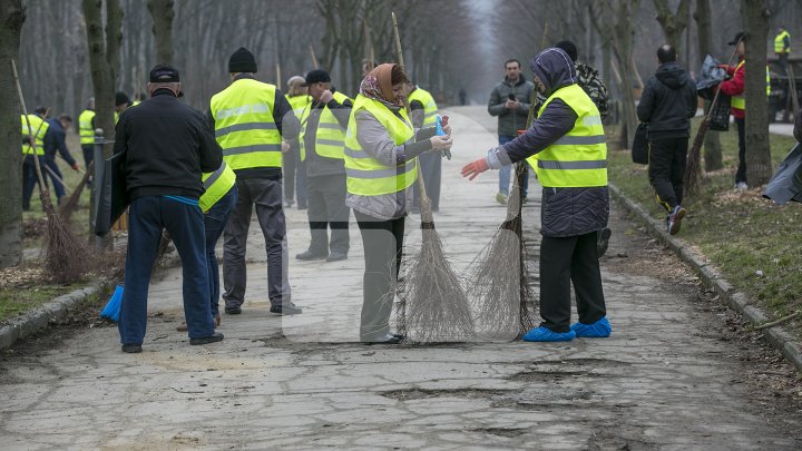 CURĂŢENIE LUNĂ ÎN CAPITALĂ! Zeci de mii de oameni s-au mobilizat şi au participat la acţiunile de salubrizare din oraş (FOTOREPORT)