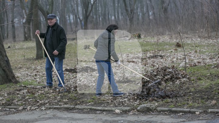 CURĂŢENIE LUNĂ ÎN CAPITALĂ! Zeci de mii de oameni s-au mobilizat şi au participat la acţiunile de salubrizare din oraş (FOTOREPORT)