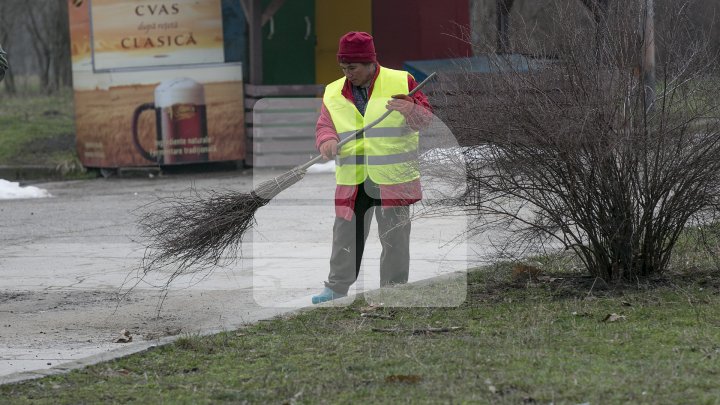 Marea Curățenie de primăvară din Capitală. Angajații Spații Verzi și locuitorii fac curat în toate parcurile și străzile