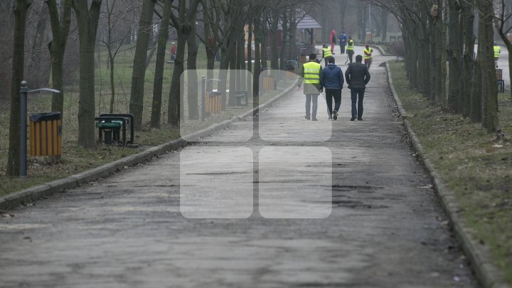 Marea Curățenie de primăvară din Capitală. Angajații Spații Verzi și locuitorii fac curat în toate parcurile și străzile