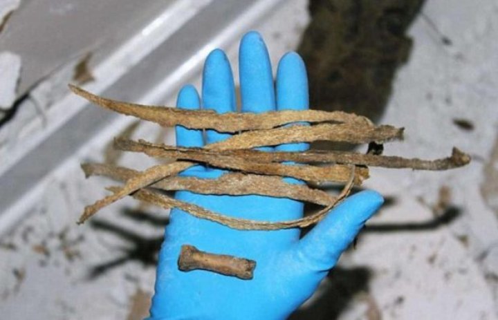 DESCOPERIRE ŞOCANTĂ! Ce a găsit un cuplu în pereții casei în care abia se mutaseră