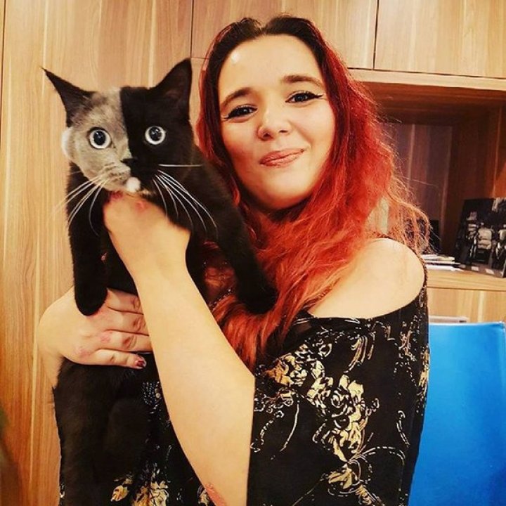 Exemplar extrem de rar în întreaga lume. Cum arată cea mai drăgălaşă pisică cu două feţe (FOTO)