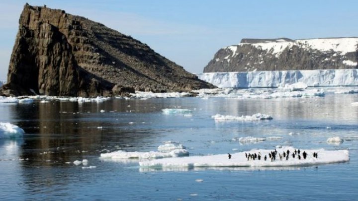 O super-colonie de peste un milion de pinguini, descoperită cu ajutorul imaginilor din satelit (FOTO)