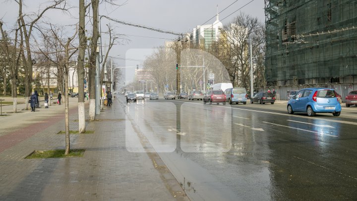 CURĂŢENIE LUNĂ ÎN CAPITALĂ! Zeci de mii de oameni s-au mobilizat şi au participat la acţiunile de salubrizare din oraş (FOTOREPORT)