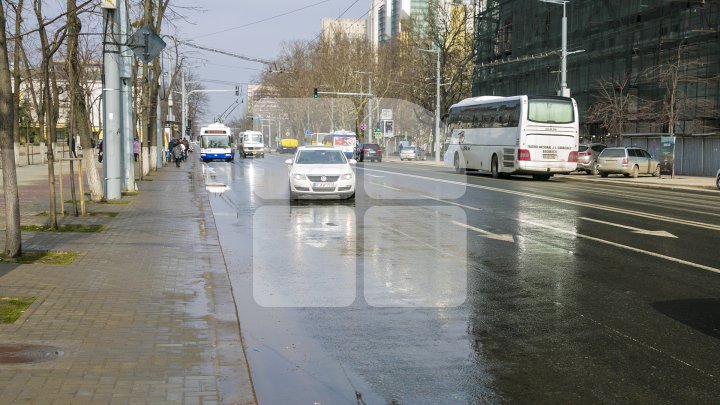 CURĂŢENIE LUNĂ ÎN CAPITALĂ! Zeci de mii de oameni s-au mobilizat şi au participat la acţiunile de salubrizare din oraş (FOTOREPORT)