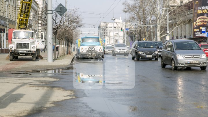 CURĂŢENIE LUNĂ ÎN CAPITALĂ! Zeci de mii de oameni s-au mobilizat şi au participat la acţiunile de salubrizare din oraş (FOTOREPORT)