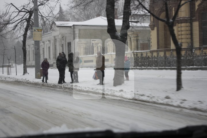 FENOMENE DE IARNĂ EXTREMĂ în luna Martie. Cum s-a circulat în Chişinău pe ninsoare abundentă (FOTOREPORT)