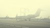 Un avion a fost oprit din drumul său pe pista de aterizare de un...crocodil (VIDEO)