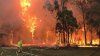 Incendii devastatoare în Australia! Peste 1.000 de hectare de pădure, mistuite de foc