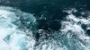 FENOMEN ALARMANT: Apa din oceane își va intensifica culoarea în următorii ani. Ce spun cercetătorii