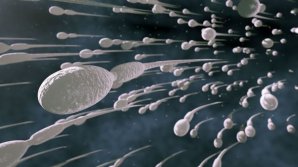 Studiu: NASA a trimis spermă umană către Staţia Spaţială Internaţională