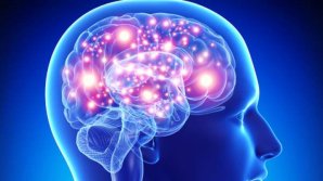 Studiu: Creierul uman se actualizează pentru a se obişnui cu o situaţie neaşteptată