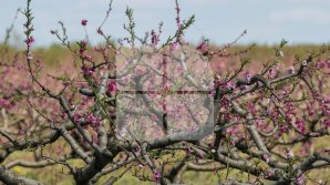 Vremea de weekend. Meteorologii anunţă TEMPERATURI GENEROASE. Cât de cald va fi în Capitală, dar şi în alte regiuni din ţară