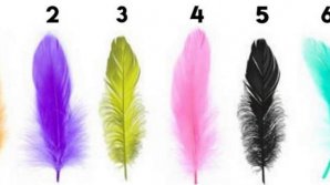 TEST! Alege o pană și află ce secret dezvăluie despre tine