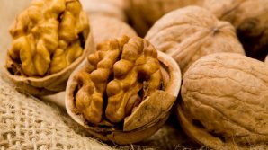 SOLUŢII PENTRU A DEPĂŞI CRIZA. Producătorii de nuci din ţară s-au întâlnit la un forum