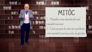 DE VORBĂ DESPRE VORBE cu Vsevolod Cernei. Care este sensul corect al cuvântului mitocan (VIDEO)