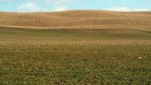 Fermierii din raionul Dubăsari au primit primele certificate de acces la terenurile agricole din regiunea transnistreană