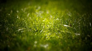 Mâine ne aşteaptă o nouă zi cu soare şi fără precipitaţii. Câte grade vor indica termometrele 