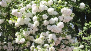 METEO 23 aprilie 2018: Vreme frumoasă cu temperaturi de peste 20 de grade