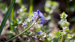 METEO 11 iulie 2020: Vreme caldă şi cer variabil în toată ţara. Câte grade vor indica termometrele