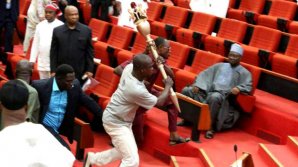 Haos în senatul din Nigeria! Un grup de hoţi a bătut câţiva senatori din sală şi a furat un obiect ceremonial (VIDEO)