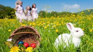 VREME FRUMOASĂ DE PAŞTE. Mercurul din termometre va urca până la 22 de grade