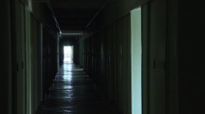 Angajaţii Institutului de Zoologie muncesc în condiţii grele. Nu pot desfăşura cercetări, din cauza lipsei de curent electric