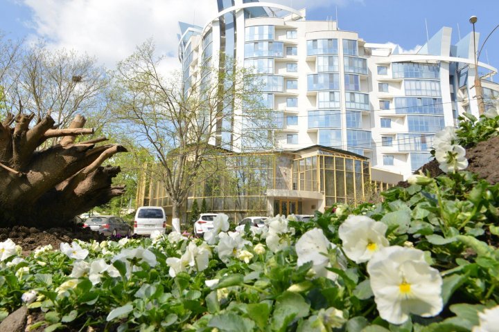 Silvia Radu: Floricelele din covorul de flori sunt deja plantate. Haideți să avem grijă de ele și să le păstrăm (FOTO)