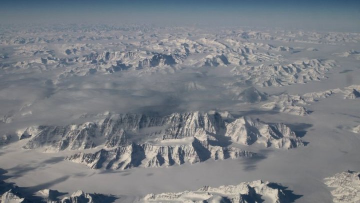 IMPRESIONANT! Legume crescute la Polul Sud. Un cercetător a cultivat salată, castraveți și ridichi în Antarctica