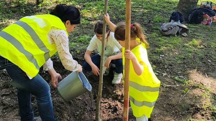 "Iubim Chişinăul!" Silvia Radu împreună cu soţul şi copiii lor au plantat copaci în parcul Valea Trandafirilor (FOTO) 