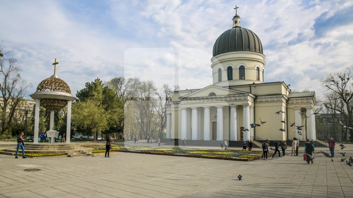 Ultima zi când mai poţi admira covorul de viole din centrul Capitalei. Ce se va întâmpla cu florile