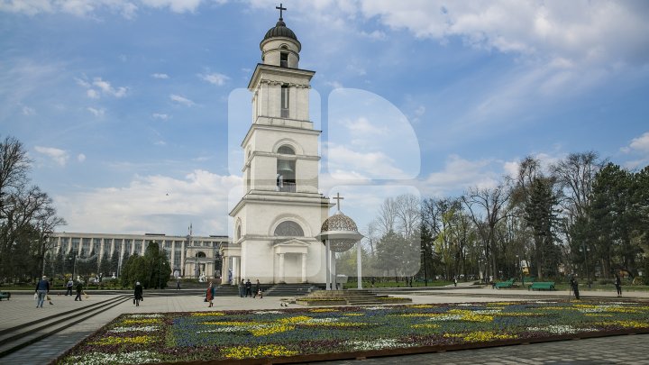 Silvia Radu: Covor din flori autentic moldovenesc, amenajat în Scuarul Catedralei. Ar fi frumos să avem o tradiţie (FOTO)