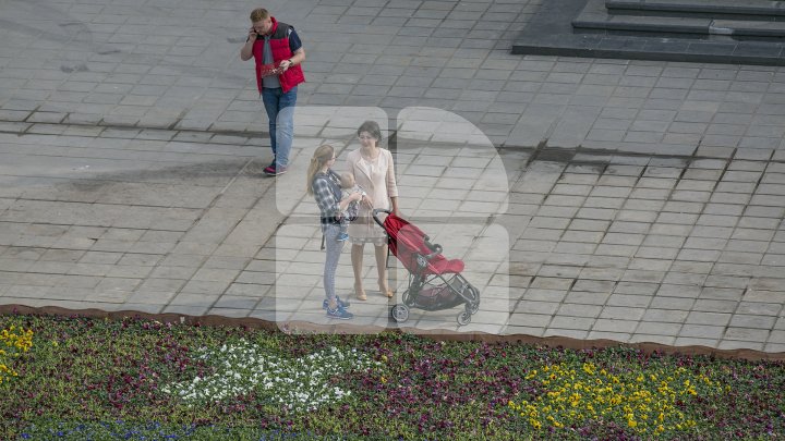 Silvia Radu: Covor din flori autentic moldovenesc, amenajat în Scuarul Catedralei. Ar fi frumos să avem o tradiţie (FOTO)